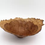 Bert Marsh, Cocobolo Box, 2010