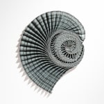 Hannah White, Ammonite Shadow: Liparoceras Swirl, 2023