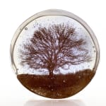 Helen Slater Stokes, Oak Top, 2023