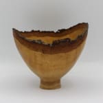 Bert Marsh, Sycamore Bowl, 1985