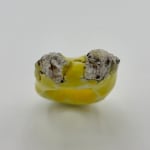 Aneta Regel, White Ring, 2018