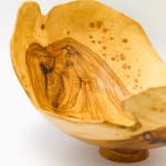 Bert Marsh, Cocobolo Box, 2010