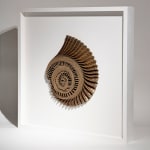 Hannah White, Ammonite Shadow: Pleuroceras Spinatum Swirl, 2023