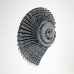 Hannah White, Ammonite Shadow: Liparoceras Swirl, 2023