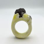 Aneta Regel, White Ring, 2018