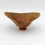 Bert Marsh, Cocobolo Box, 2010