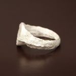 Sian Evans, Tudor Ring, 2022