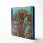 Helen Slater Stokes, Wild Grasses - Sepia-Light Sky Blue, 2022
