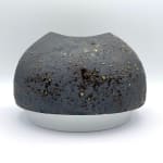 Tanya Gomez, Small Tundra Vessel, 2024