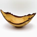 Bert Marsh, Sycamore Bowl, 1985