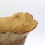 Bert Marsh, Sycamore Bowl, 1985