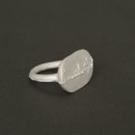 Sian Evans, Tudor Ring, 2022