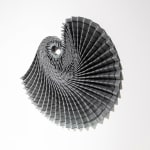 Hannah White, Ammonite Shadow: Asteroceras Curl, 2023