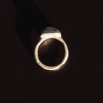 Sian Evans, Tudor Ring, 2022