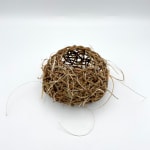 Lizzie Kimbley, Large Nest - Day Lily, 2023