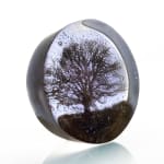 Helen Slater Stokes, Oak Top, 2023