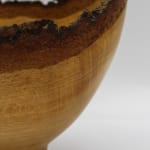 Bert Marsh, Sycamore Bowl, 1985