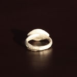 Sian Evans, Tudor Ring, 2022