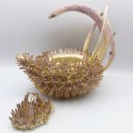 Delfina Emmanuel, Avatar Reef Teapot