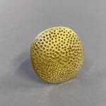 Jane Adam, Large Disc Ring, 2024