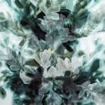 Ingrid Uys, Shifting shadows , 2024