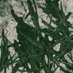 Ross Passmoor, Submerge VIII, 2019