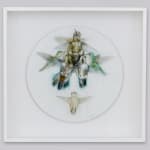 Steven John Wilkins, Passenger (octopus and turtle), 2024