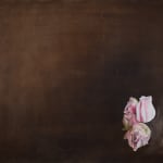 Helen Joseph, Form and Shape, 2022