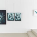 Ingrid Uys, Reflected images of flight I, 2024