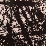 Mariapaola McGurk, Decorations #1, 2023