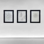 Mariapaola McGurk, Decorations #1, 2023