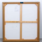 Ingrid Uys, Reflected images of flight I, 2024