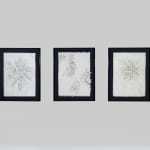 Mariapaola McGurk, Decorations #1, 2023
