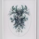 Ingrid Uys, Shifting shadows , 2024