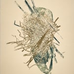Ross Passmoor, Submerge 5, 2019