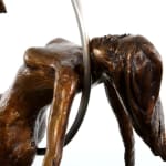 Thumbnail of additional image