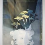 Kerry Harding, Goodnight Beacon, 2021