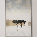 Kerry Harding, Gwydhenn v, 2024