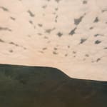 Kerry Harding, Gwydhenn v, 2024