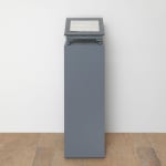Barbara Bloom, Works for the Blind (Always distrust a man), 1988