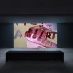 Amy Sillman (with Marina Rosenfeld, sound), Minute Cinema: 4 videos for 4 seasons, 2024–2025