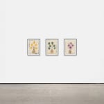 Isabella Ducrot, Trembling Yellow Flowers, 2024