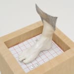 Miranda Fengyuan Zhang 张丰渊, BC6, 2025