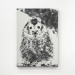 Luca Campestri 卢卡·坎佩斯特里, Necromass 长眠物, 2025