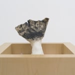 Miranda Fengyuan Zhang 张丰渊, BC6, 2025