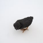 Elizabeth Jaeger 伊丽莎白·耶格, Bird 鸟, 2020