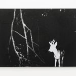 Luca Campestri 卢卡·坎佩斯特里, Necromass 长眠物, 2025