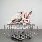 Douglas Rieger 道格拉斯·莱杰, System of Desire System of Utility 欲望系统实用系统, 2016
