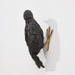 Elizabeth Jaeger 伊丽莎白·耶格, Bird 鸟, 2020