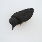 Elizabeth Jaeger 伊丽莎白·耶格, Bird 鸟, 2020